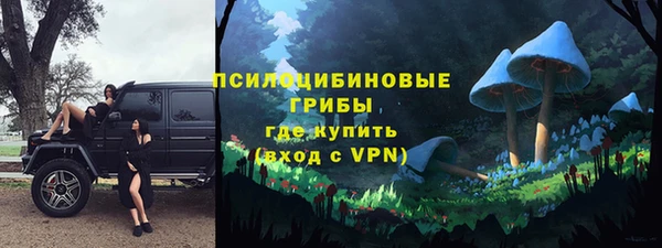 амф Переславль-Залесский
